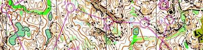 Canadian Orienteering Champs Middle 2014 (02-08-2014)